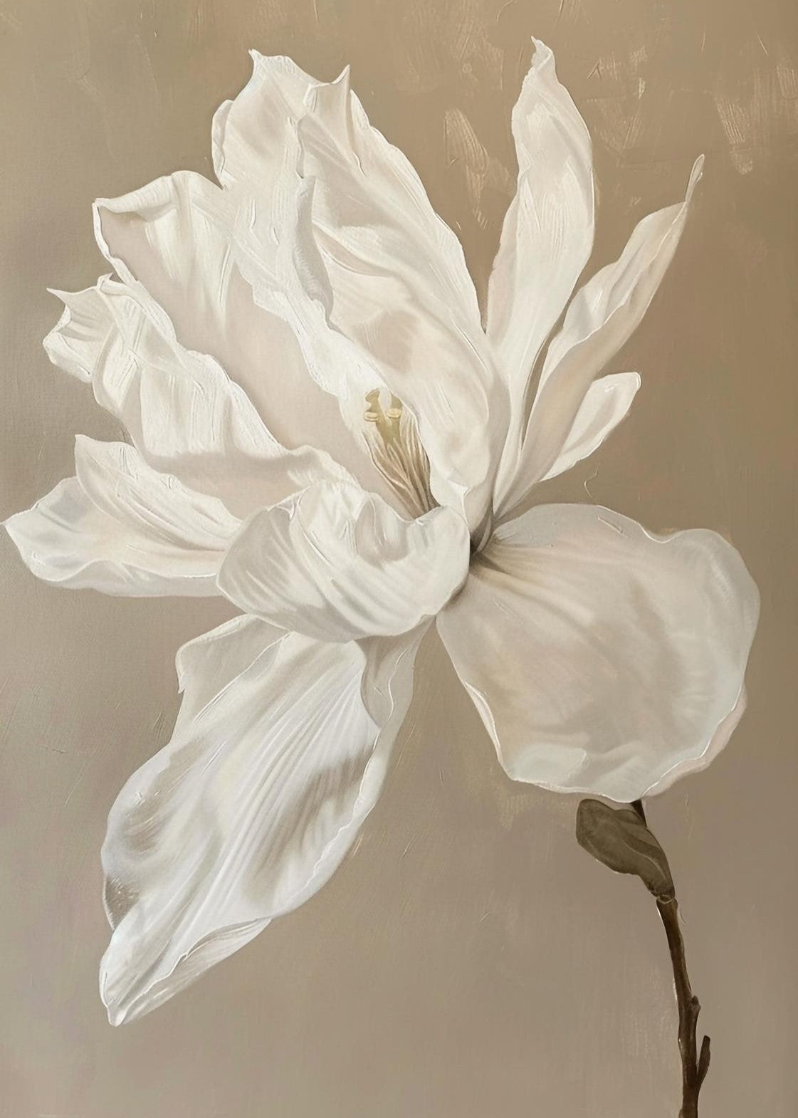 Magnolia i beige toner