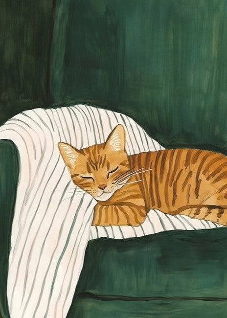 Afternoon Sleep