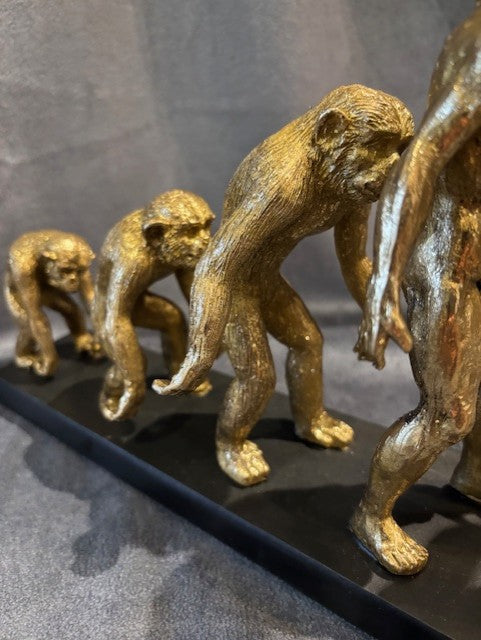 Skulptur Evolutionen