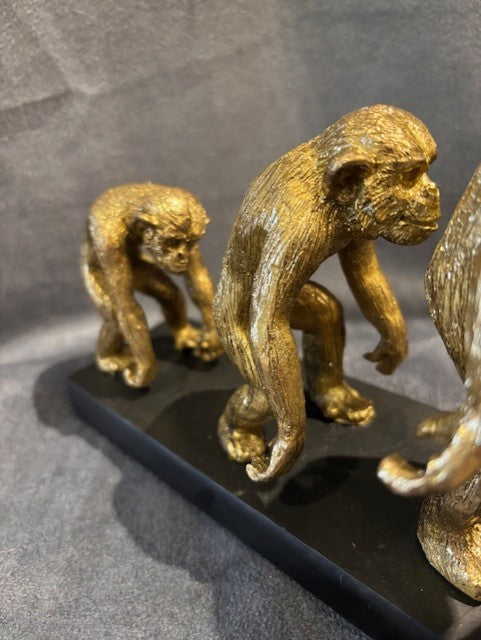 Skulptur Evolutionen