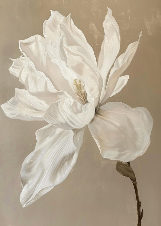 Magnolia i beige toner