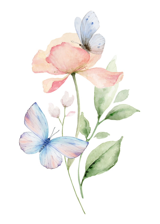 Butterfly Whisper