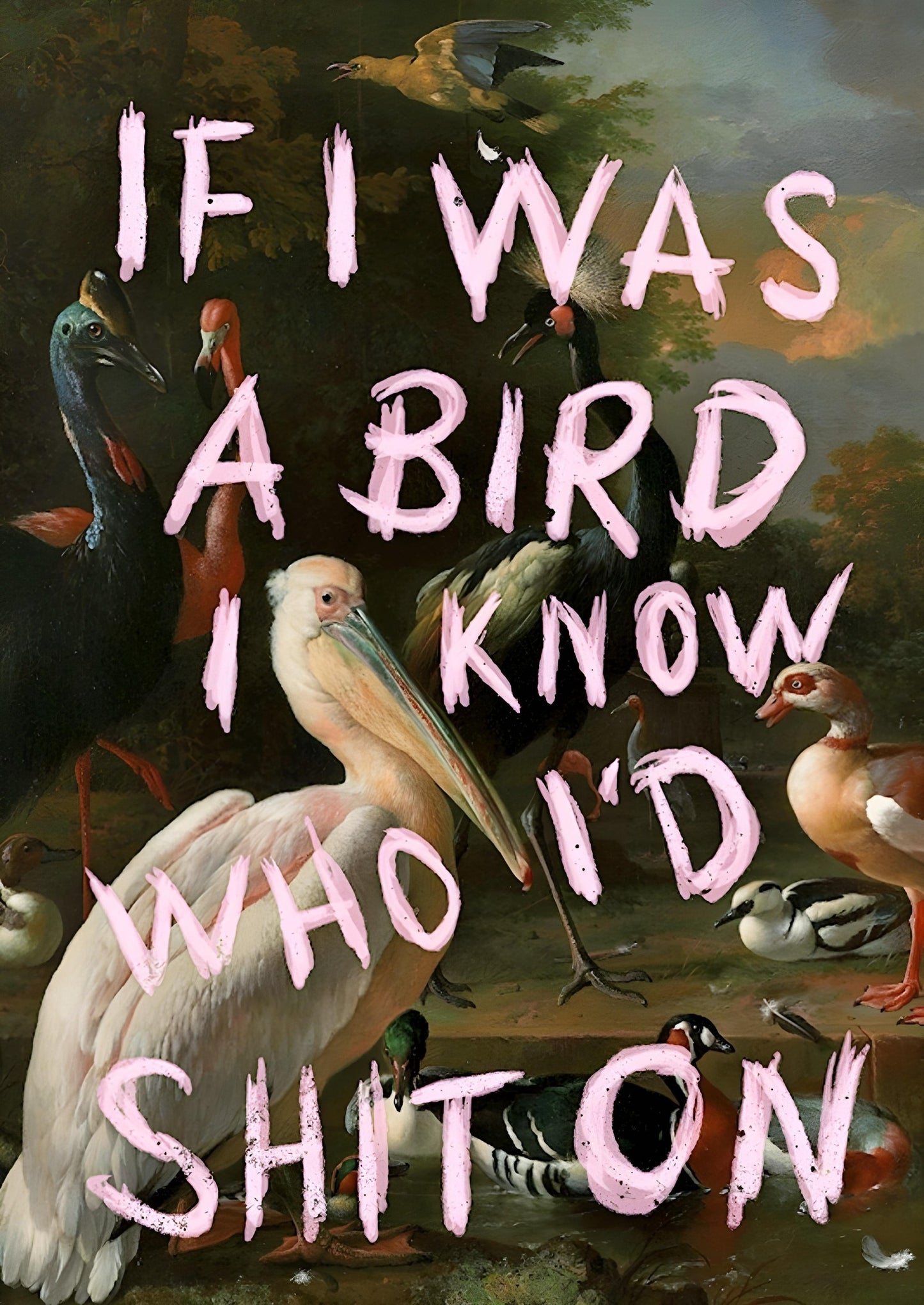 If I Was a Bird… – humor med konstnärlig känsla