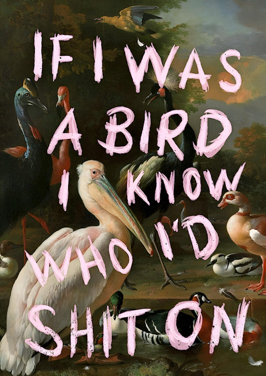 If I Was a Bird… – humor med konstnärlig känsla