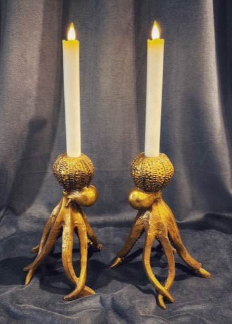 Ljusstake bläckfisk